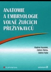 Anatomie a embryologe volně žijících přežvýkavců