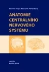 Anatomie centrálního nervového systému