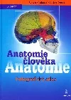 Anatomie člověka