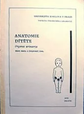 Anatomie dítěte - Organa urinaria