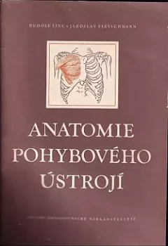 Anatomie pohybového ústrojí