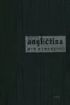 Angličtina pro pracující