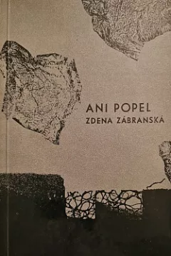 Ani popel