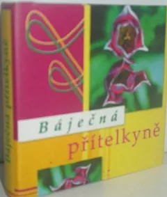 Báječná přítelkyně