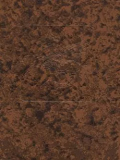 Básně