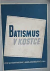 Batismus v kostce