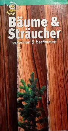 Bäume & Sträucher