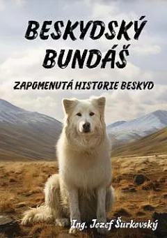 Beskydský Bundáš - Zapomenutá historie Beskyd