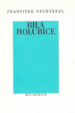 Bílá holubice