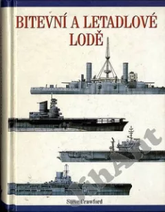Bitevní a letadlové lodě