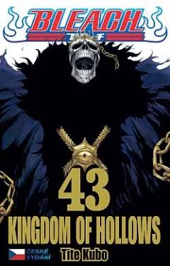 Kingdom of Hollows