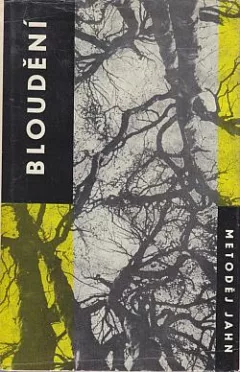 Bloudění