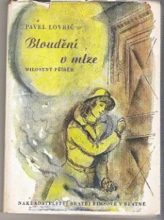 Bloudění v mlze