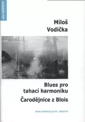 Blues pro tahací harmoniku / Čarodějnice z Blois