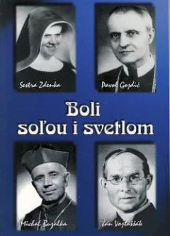 Boli soľou i svetlom