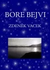 Bore Bejvi