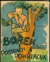 Borek, postrach Pokřikova