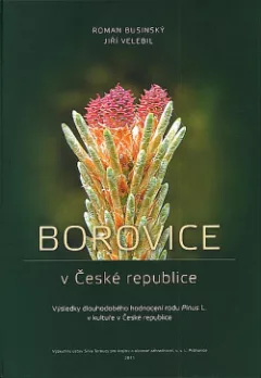 Borovice v České republice