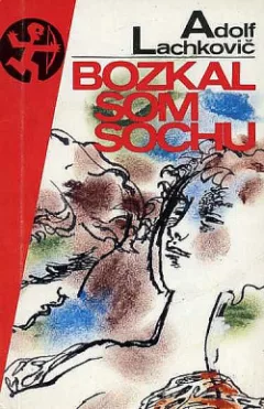 Bozkal som sochu