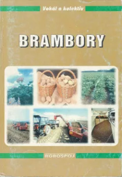 Brambory