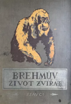 Brehmův život zvířat 1. díl – Ssavci
