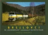 Brejlovci