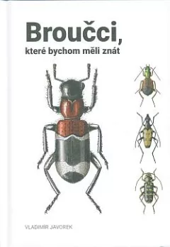 Broučci, které bychom měli znát