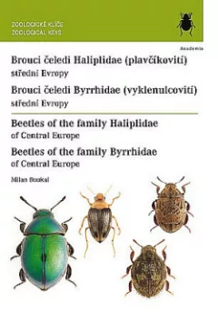 Brouci čeledí plavčíkovití a vyklenulcovití