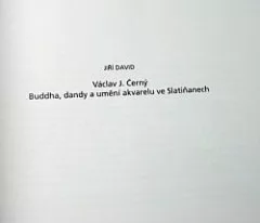 Buddha, dandy a umění akvarelu ve Slatiňanech