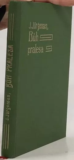 Bůh pralesa