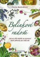 Bylinkové radosti: Jak se cítit dobře za pomoci darů přírody po celý rok