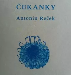 Čekanky