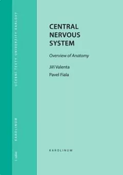 Central Nervous System - Overview of Anatomy