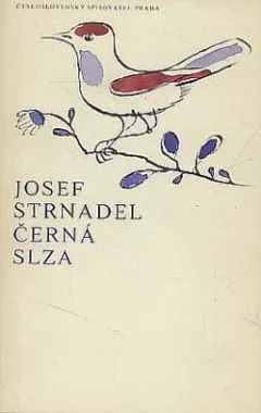 Černá slza