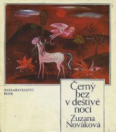 Černý bez v deštivé noci
