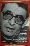 Češi. Jejich národ, stát, dějiny a pravdy v transformaci