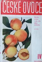 České ovoce. IV, Meruňky, broskve, srstky, rybíz, maliny a ostružiny