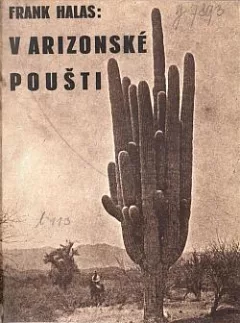 V arizonské poušti