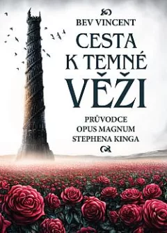 Cesta k temné věži