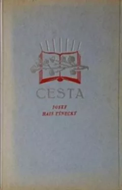Cesta: (Kronika mládí). Druhý díl