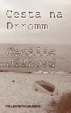 Cesta na Drromm