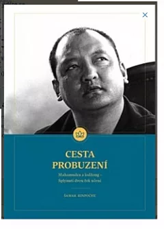 Cesta Probuzení