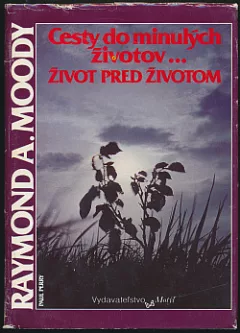 Cesty do minulých životov... Život pred životom