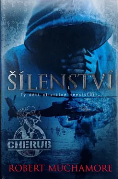 Šílenství