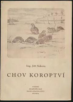 Chov koroptví