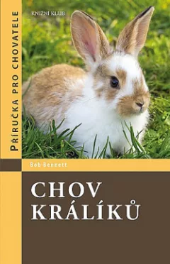 Chov králíků