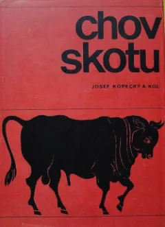 Chov skotu