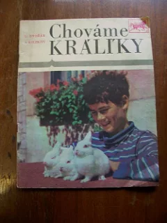 Chováme králíky