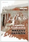 Mrazivý okamžik