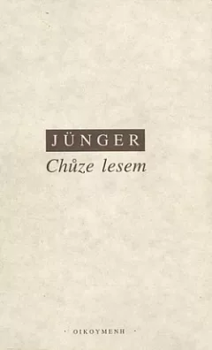 Chůze lesem